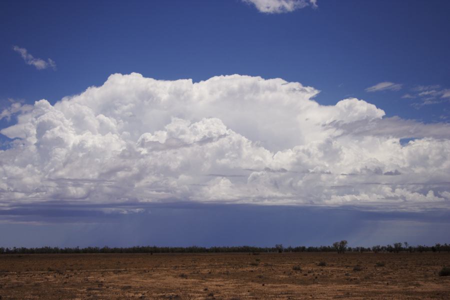 thunderstorm cumulonimbus_incus : ~20km N of Barringun, NSW   2 January 2007