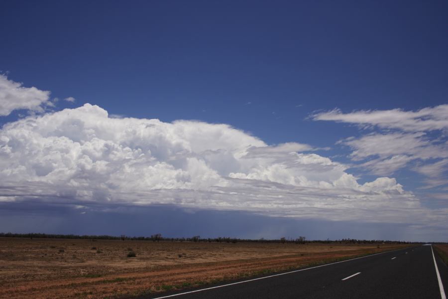 thunderstorm cumulonimbus_incus : ~20km N of Barringun, NSW   2 January 2007