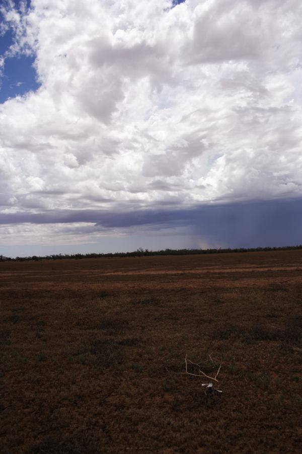 thunderstorm cumulonimbus_incus : ~20km N of Barringun, NSW   2 January 2007