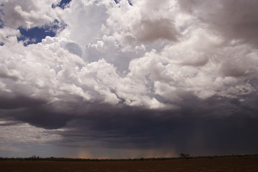 microburst micro_burst : ~30km N of Barringun, NSW   2 January 2007