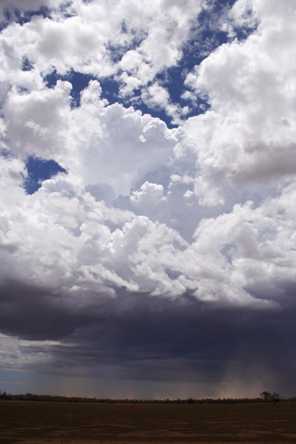 microburst micro_burst : ~30km N of Barringun, NSW   2 January 2007