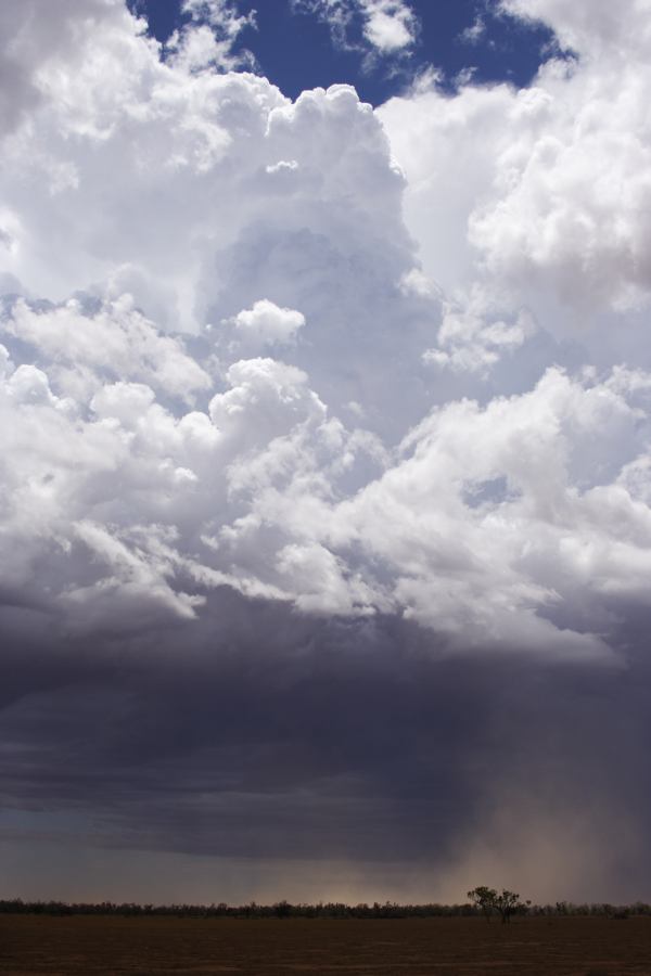 updraft thunderstorm_updrafts : ~30km N of Barringun, NSW   2 January 2007