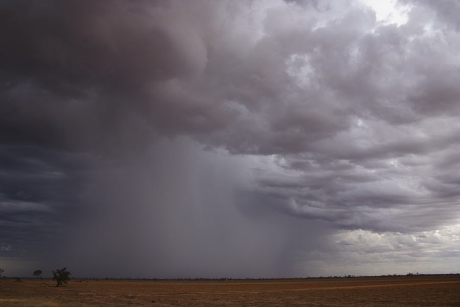 raincascade precipitation_cascade : ~40km N of Barringun, NSW   2 January 2007