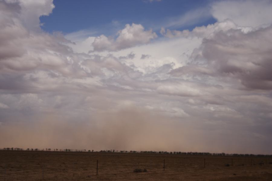 microburst micro_burst : ~30km N of Barringun, NSW   2 January 2007