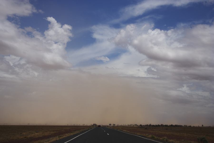 cumulus humilis : ~20km N of Barringun, NSW   2 January 2007