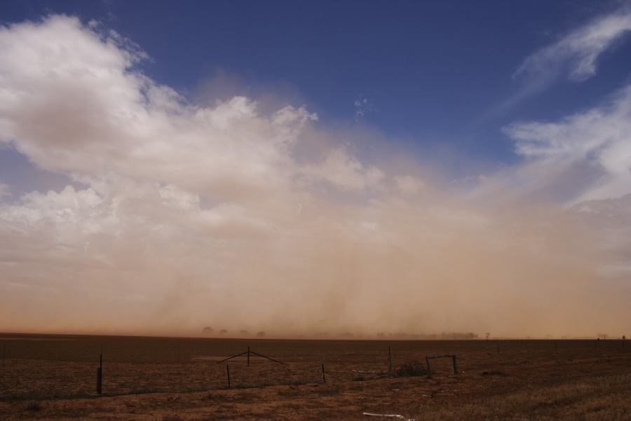 microburst micro_burst : ~10km N of Barringun, NSW   2 January 2007