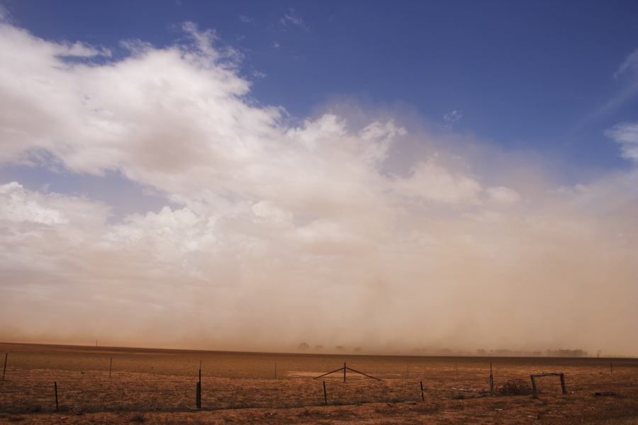 cirrus cirrus_cloud : ~10km N of Barringun, NSW   2 January 2007