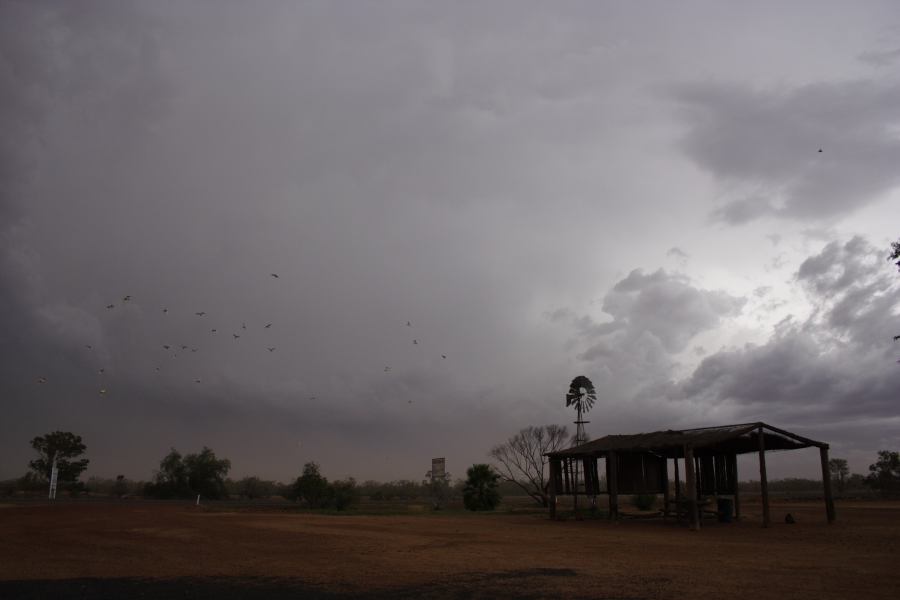 anvil thunderstorm_anvils : Barringun, NSW   2 January 2007