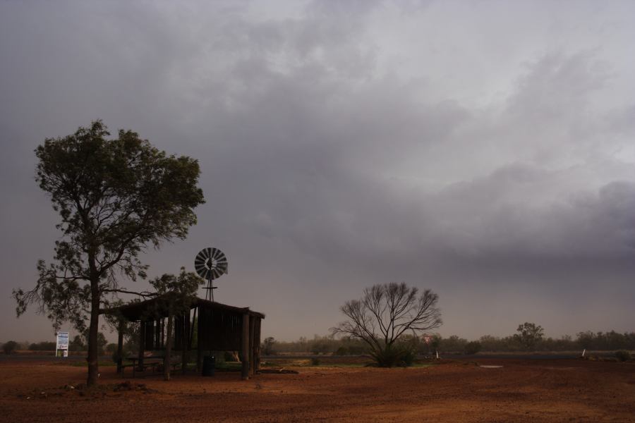 cumulonimbus supercell_thunderstorm : Barringun, NSW   2 January 2007