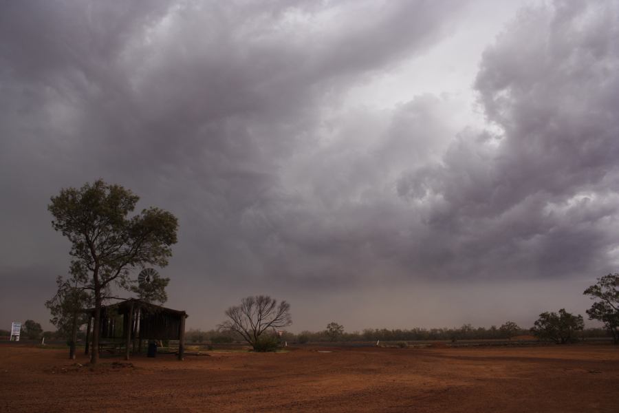 cumulonimbus thunderstorm_base : Barringun, NSW   2 January 2007