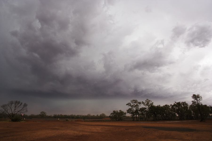 shelfcloud shelf_cloud : Barringun, NSW   2 January 2007