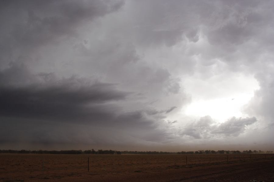 shelfcloud shelf_cloud : 10km N of Barringun, NSW   2 January 2007