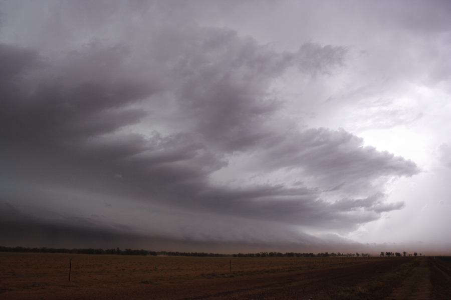 shelfcloud shelf_cloud : 10km N of Barringun, NSW   2 January 2007