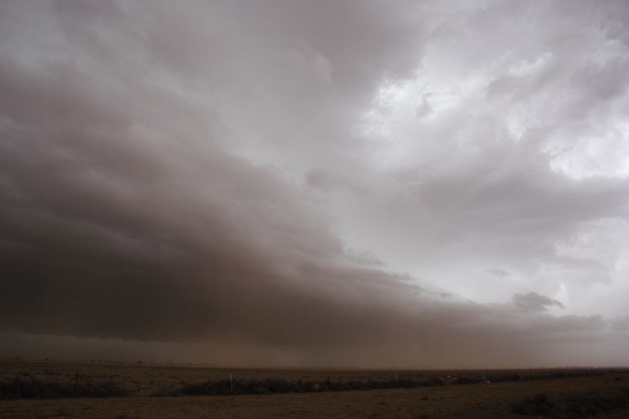 cumulonimbus supercell_thunderstorm : 30km N of Barringun, NSW   2 January 2007