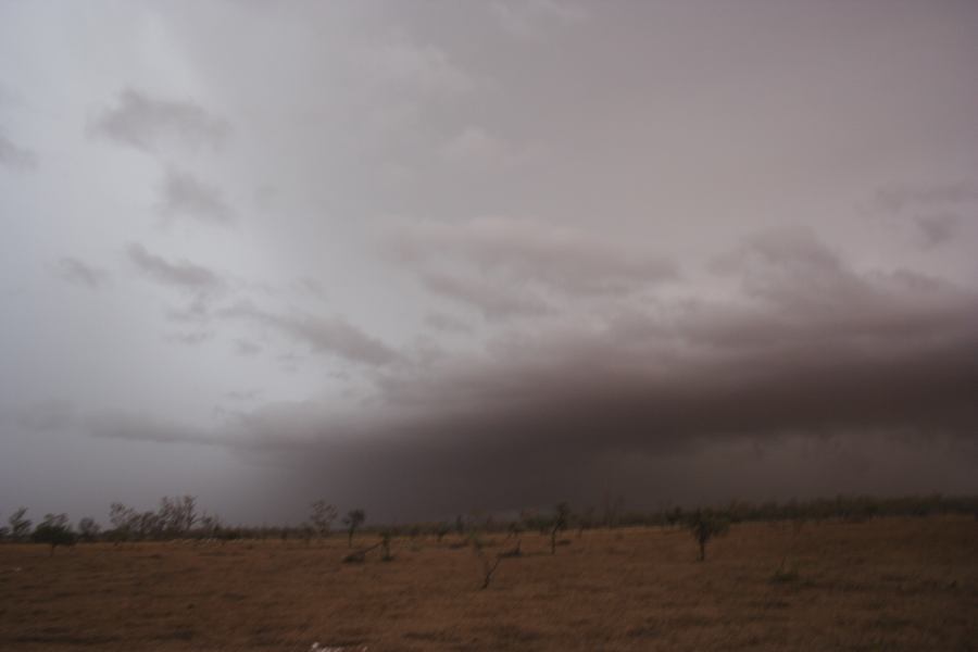 cumulonimbus supercell_thunderstorm : 50km N of Barringun, NSW   2 January 2007