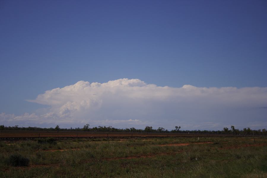 thunderstorm cumulonimbus_incus : 60km N of Cunumulla, Qld   3 January 2007