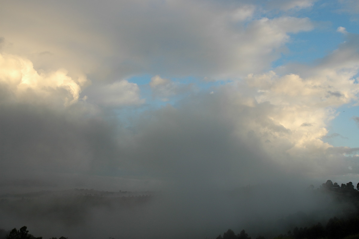 fogmist fog_mist_frost : McLeans Ridges, NSW   5 January 2007