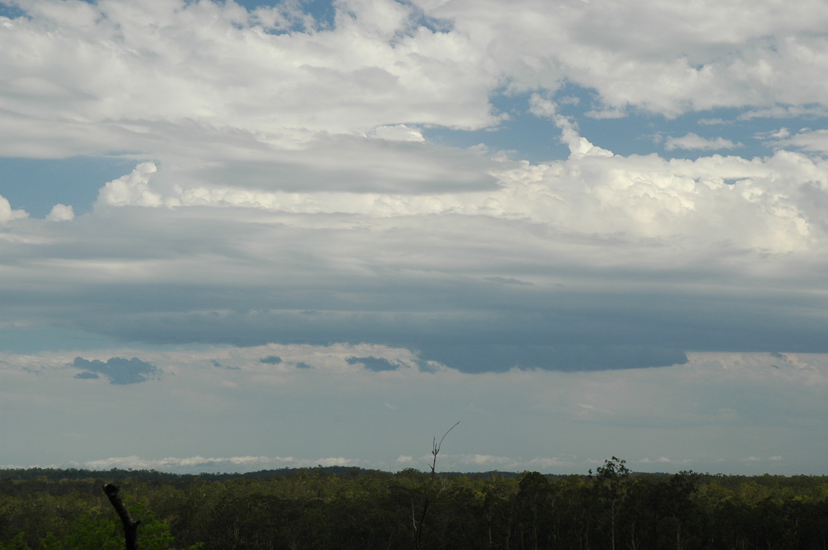 cumulus mediocris : Whiporie, NSW   8 January 2007