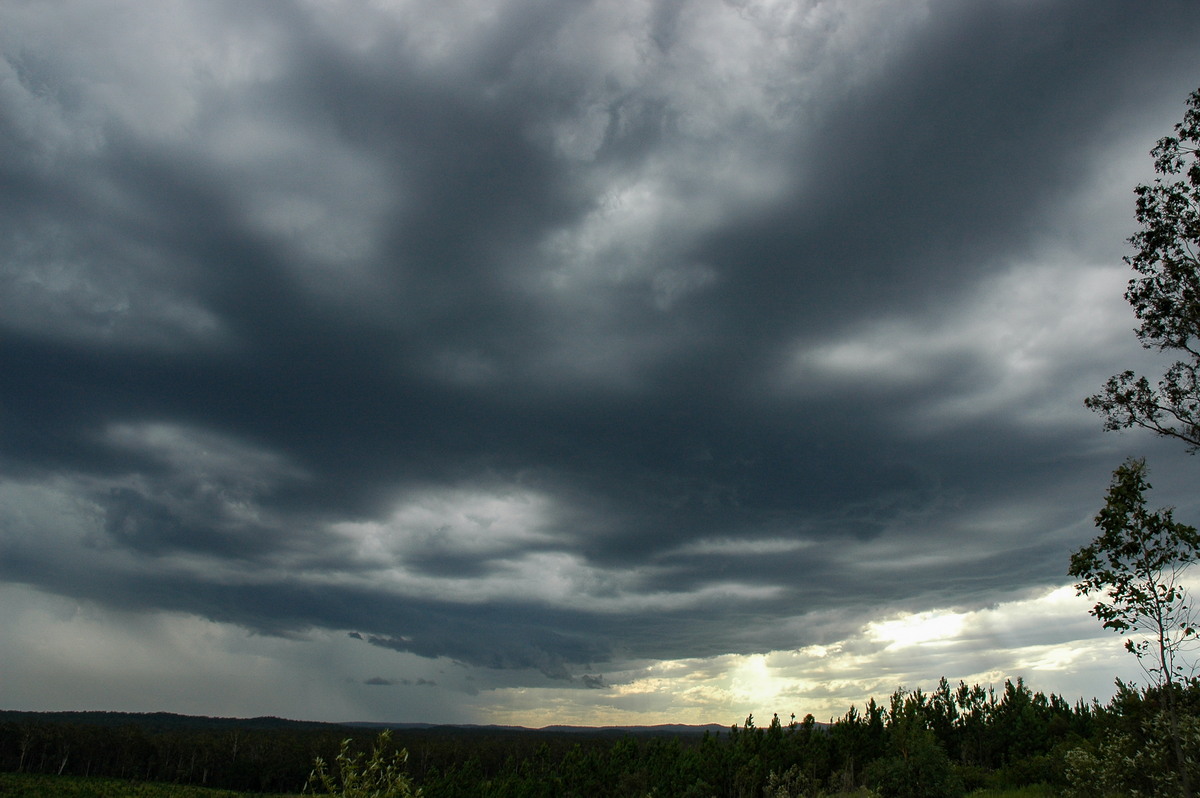 cumulonimbus thunderstorm_base : Whiporie, NSW   8 January 2007