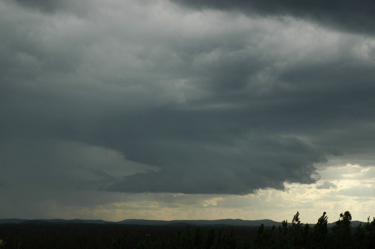 cumulonimbus thunderstorm_base : Whiporie, NSW   8 January 2007