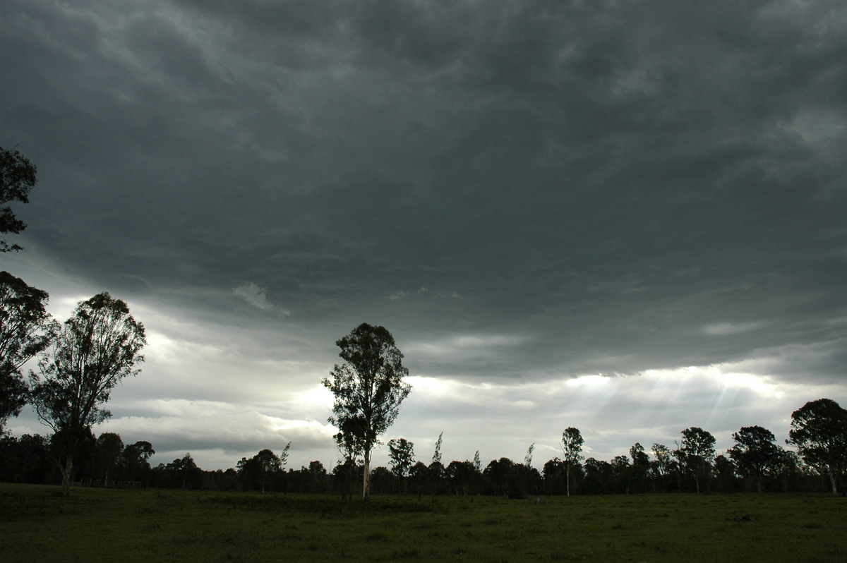 cumulonimbus thunderstorm_base : Myrtle Creek, NSW   8 January 2007