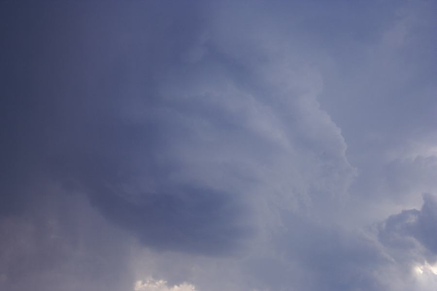 cumulonimbus supercell_thunderstorm : Agnes Banks, NSW   12 January 2007