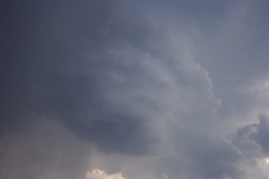 cumulonimbus thunderstorm_base : Agnes Banks, NSW   12 January 2007