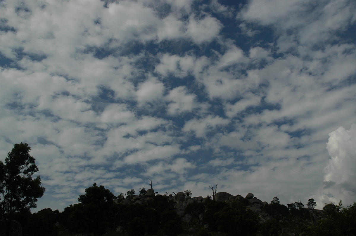 altocumulus undulatus : Tenterfield, NSW   12 January 2007