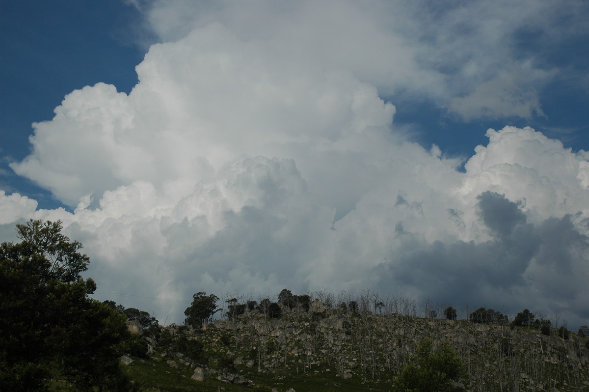 thunderstorm cumulonimbus_calvus : Tenterfield, NSW   12 January 2007