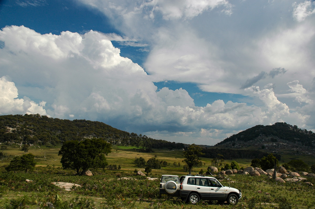 thunderstorm cumulonimbus_calvus : Tenterfield, NSW   12 January 2007