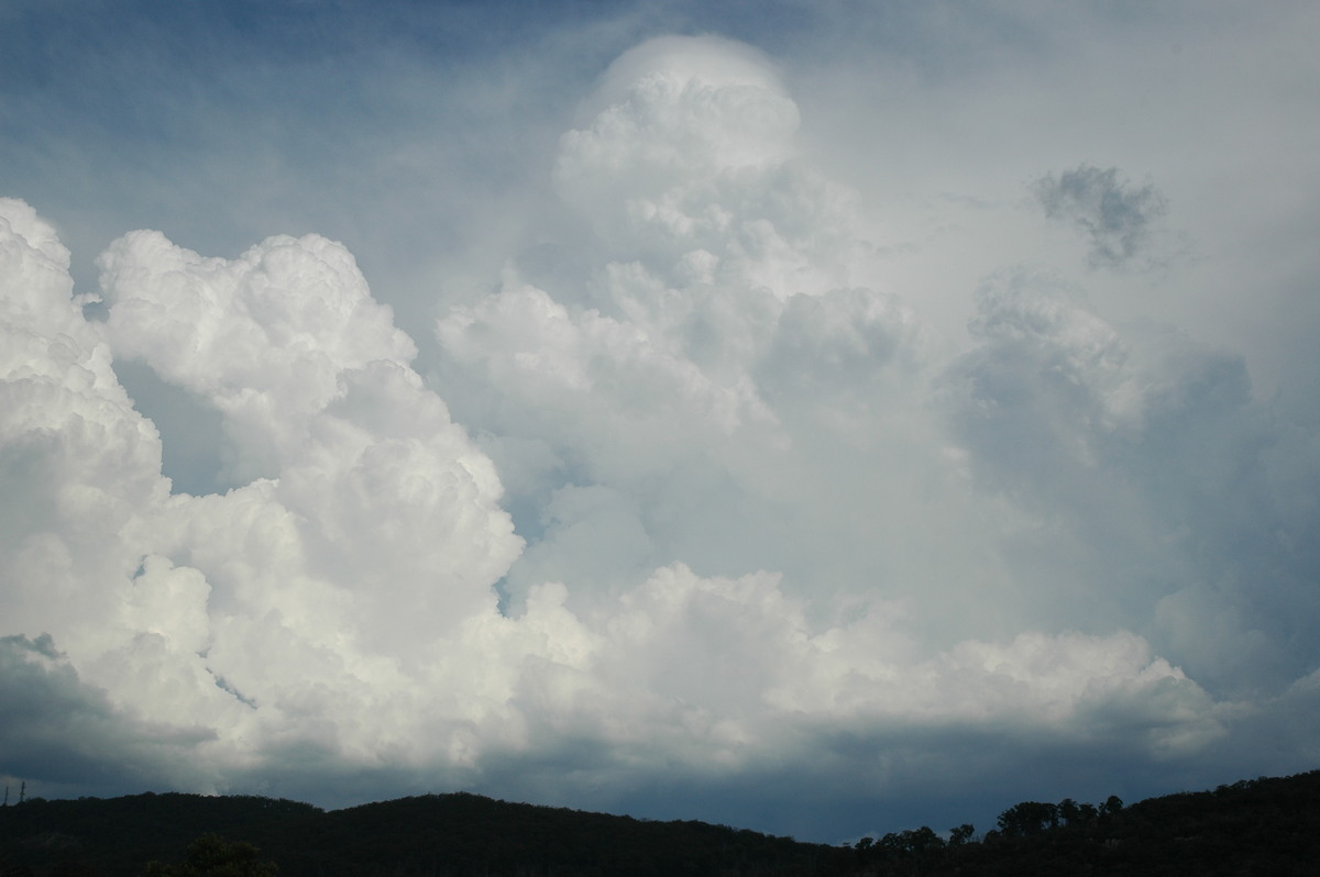 thunderstorm cumulonimbus_calvus : Tenterfield, NSW   12 January 2007