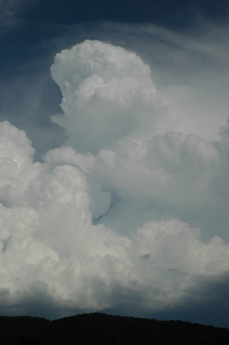 updraft thunderstorm_updrafts : Tenterfield, NSW   12 January 2007