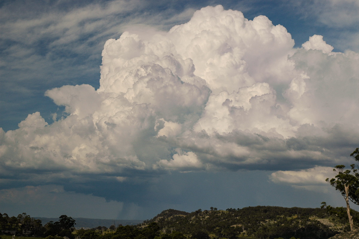 thunderstorm cumulonimbus_calvus : Tenterfield, NSW   12 January 2007