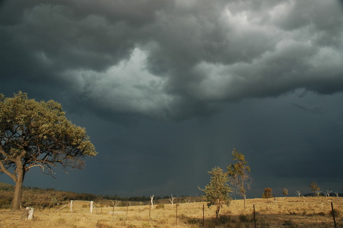 cumulonimbus thunderstorm_base : W of Tenterfield, NSW   12 January 2007