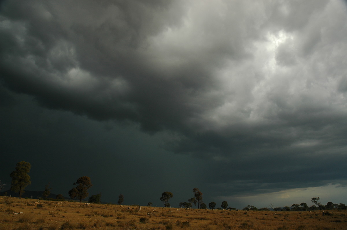 cumulonimbus thunderstorm_base : W of Tenterfield, NSW   12 January 2007