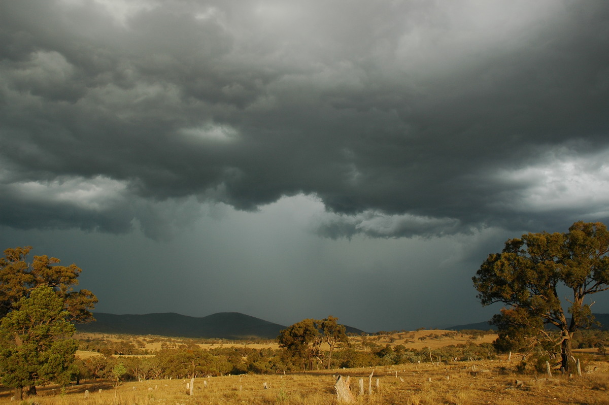 cumulonimbus thunderstorm_base : W of Tenterfield, NSW   12 January 2007