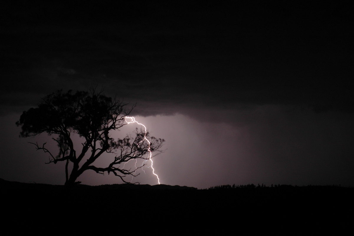 lightning lightning_bolts : W of Tenterfield, NSW   12 January 2007