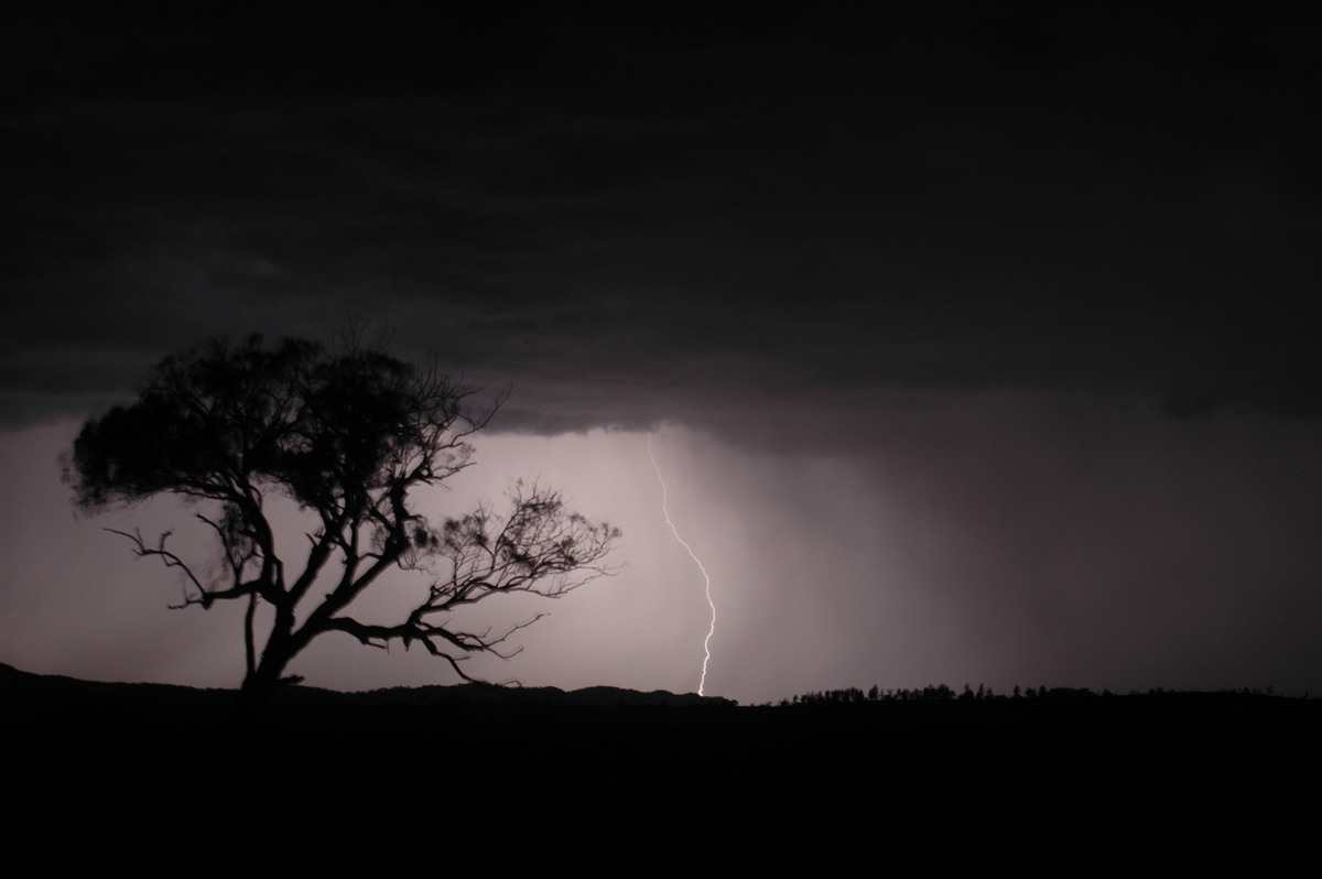 lightning lightning_bolts : W of Tenterfield, NSW   12 January 2007