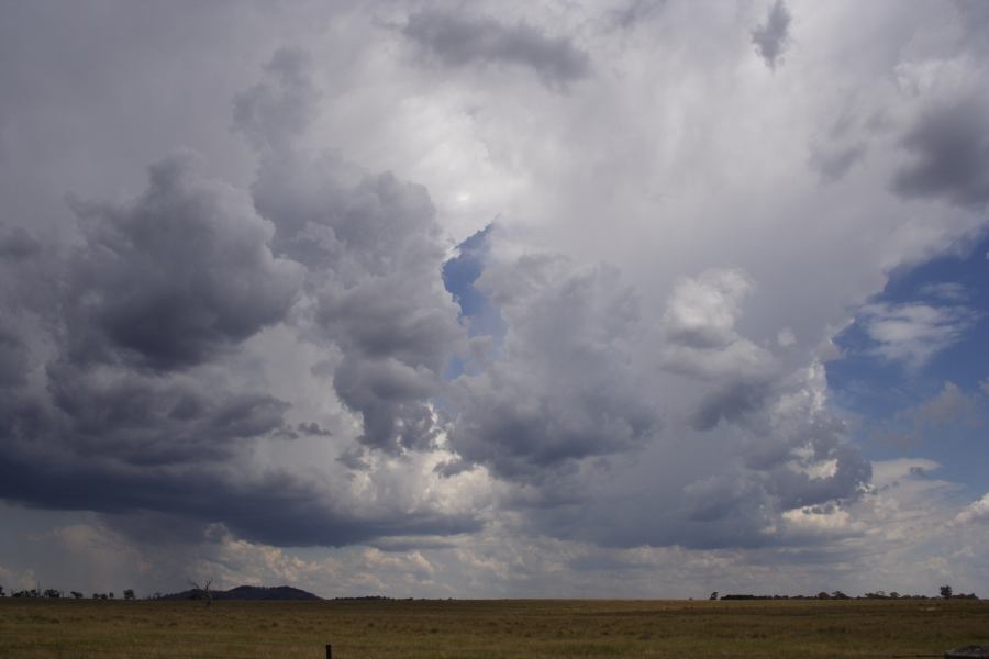 anvil thunderstorm_anvils : Deepwater, NSW   13 January 2007