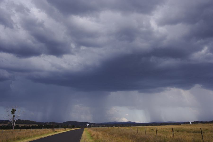 cumulonimbus thunderstorm_base : Deepwater, NSW   13 January 2007