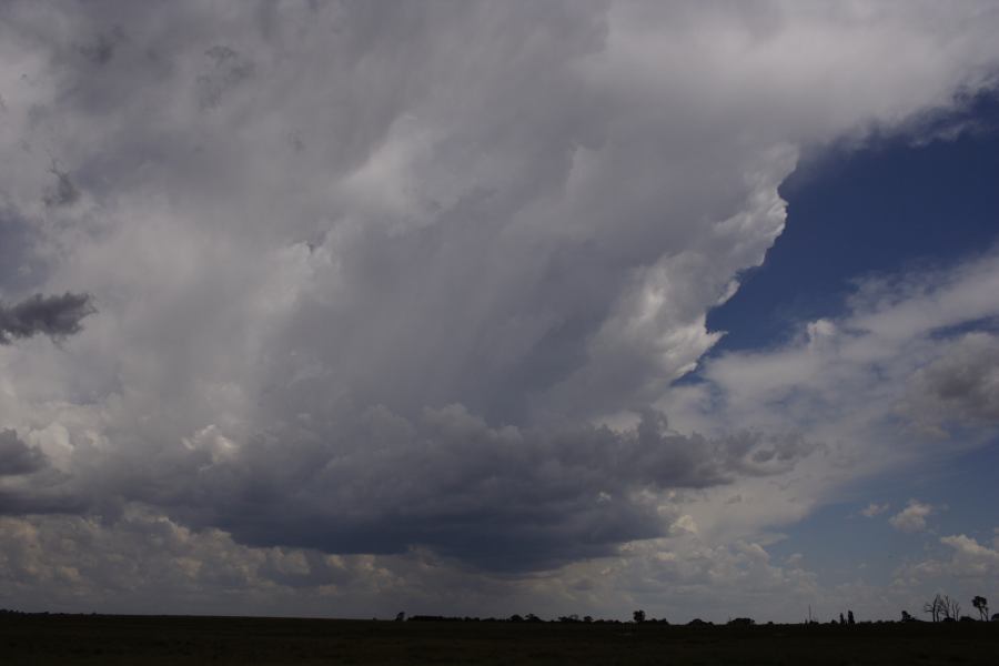 thunderstorm cumulonimbus_incus : Deepwater, NSW   13 January 2007