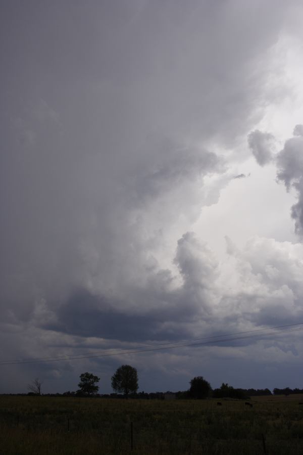 cumulonimbus thunderstorm_base : Emmaville, NSW   13 January 2007