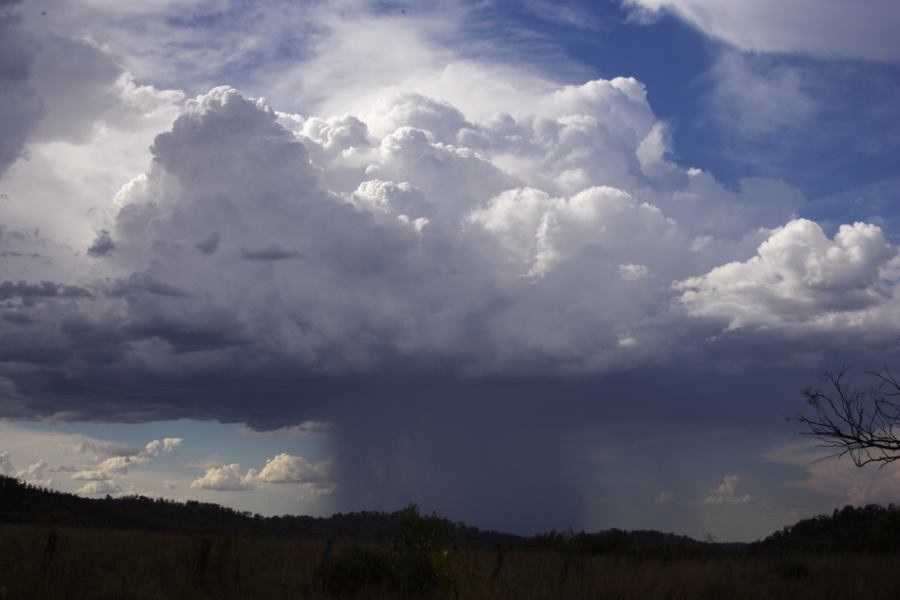 updraft thunderstorm_updrafts : near Bonshaw, NSW   13 January 2007