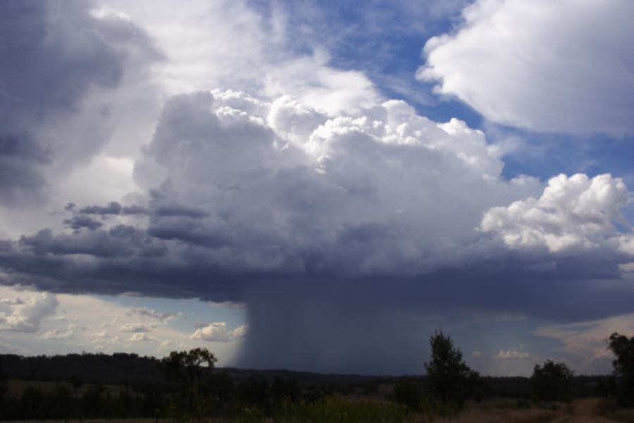 raincascade precipitation_cascade : near Bonshaw, NSW   13 January 2007