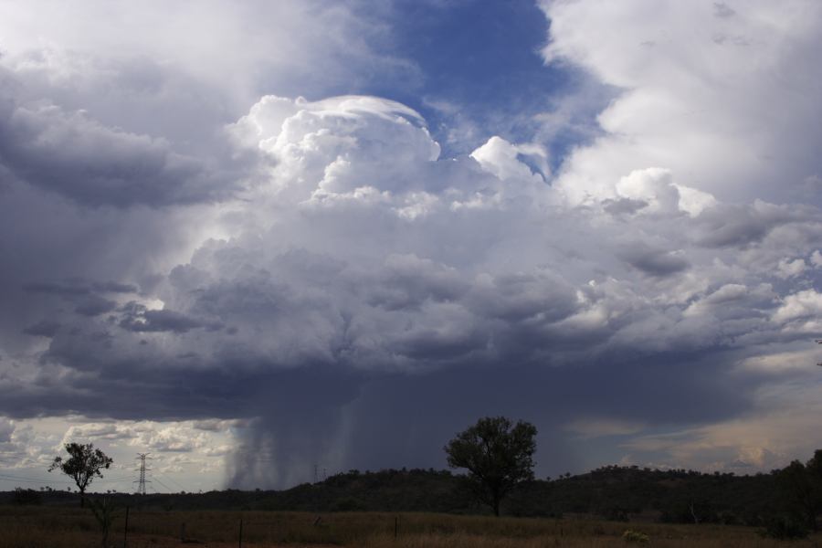 thunderstorm cumulonimbus_incus : near Bonshaw, NSW   13 January 2007
