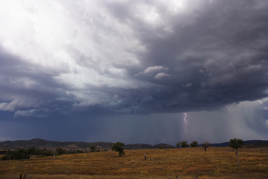 cumulonimbus thunderstorm_base : near Bonshaw, NSW   13 January 2007