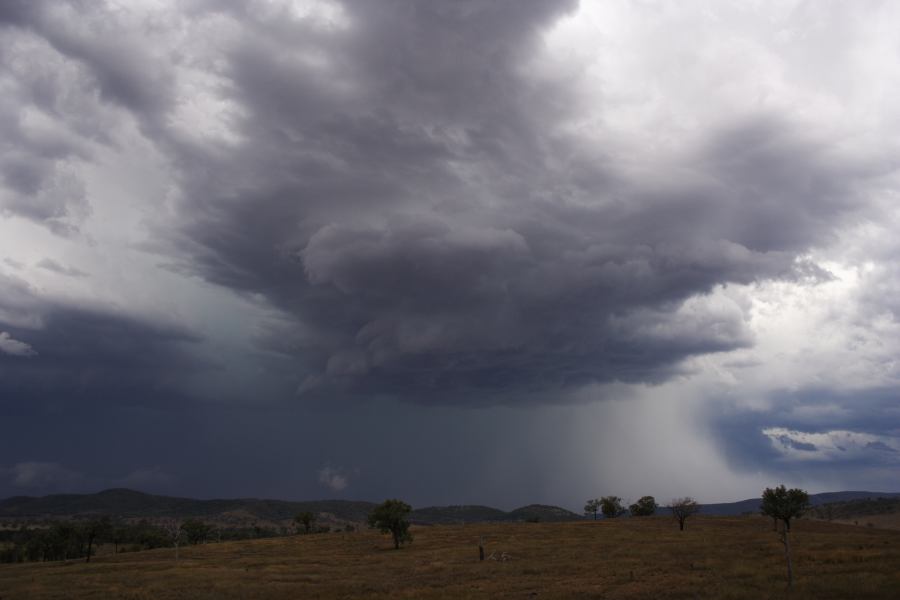 cumulonimbus thunderstorm_base : near Bonshaw, NSW   13 January 2007