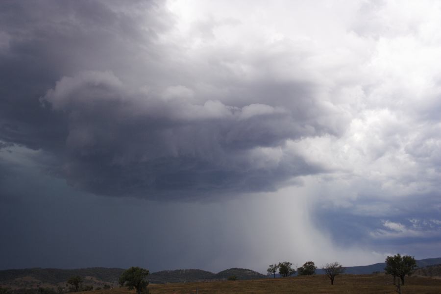 cumulonimbus thunderstorm_base : near Bonshaw, NSW   13 January 2007