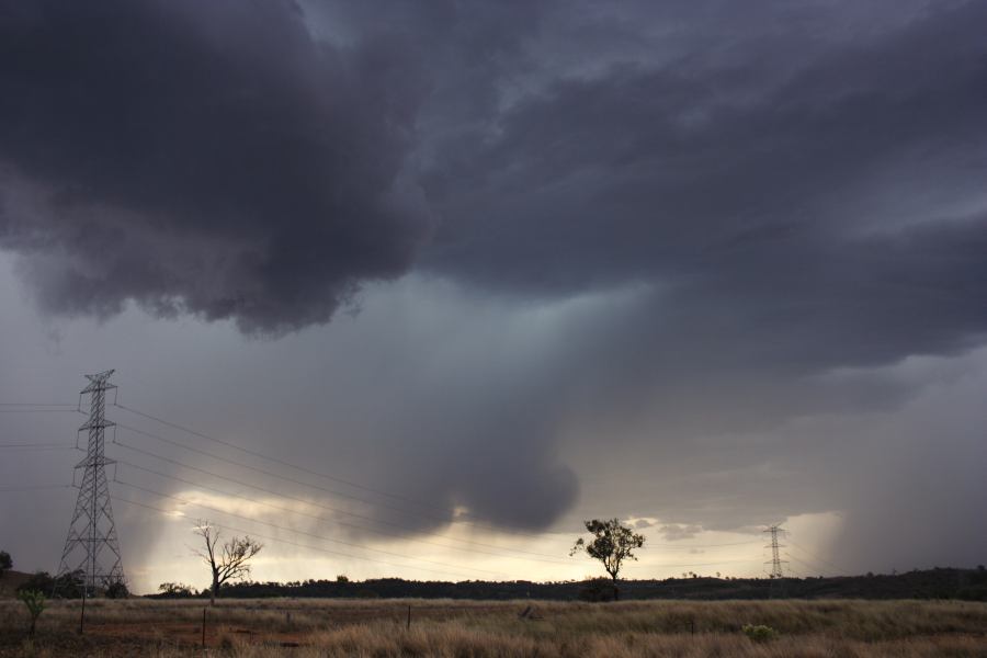 favourites jimmy_deguara : near Bonshaw, NSW   13 January 2007