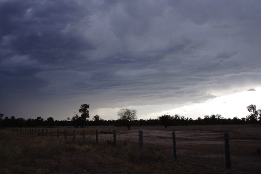 cumulonimbus thunderstorm_base : S of Inglewood, NSW   13 January 2007